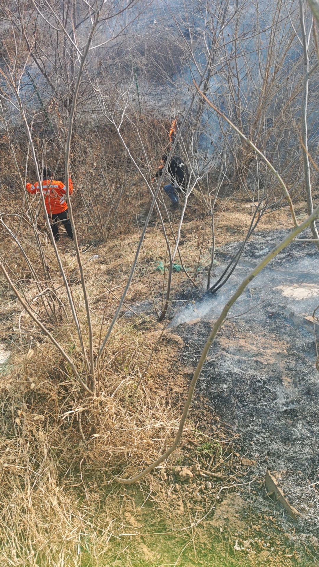 d2de4c4b9ac378a3a815ca4df7eba11.jpg d2de4c4b9ac378a3a815ca4df7eba11.jpg