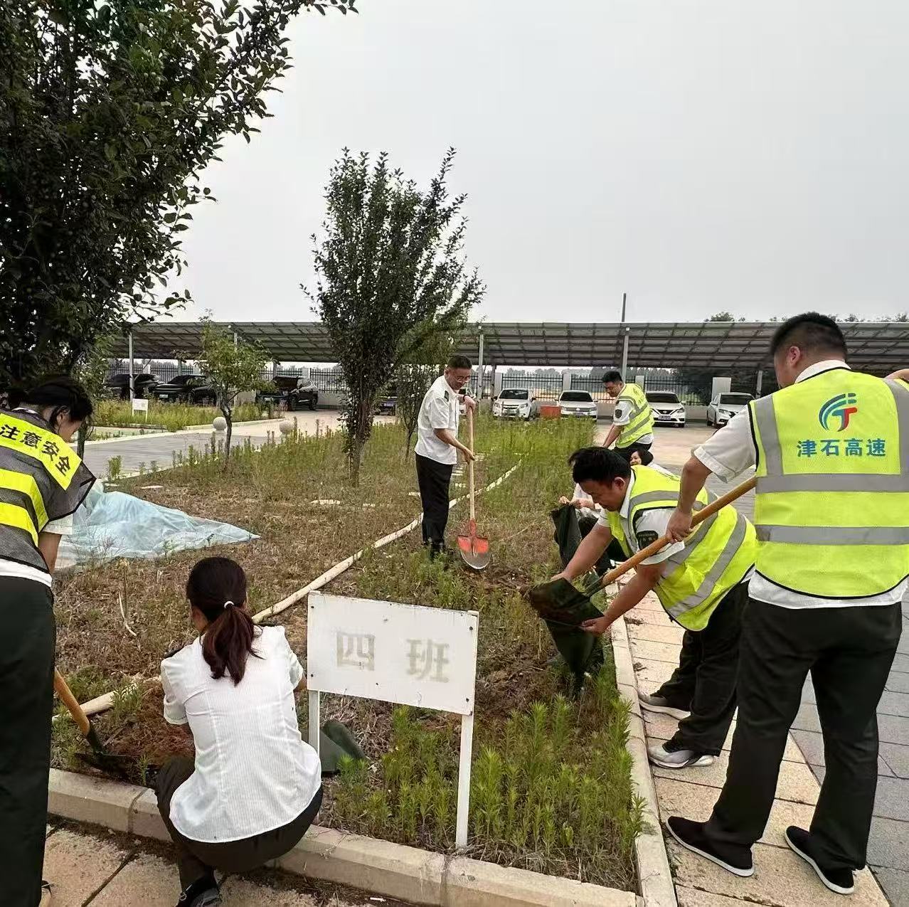 图片_202506191711.jpg 图片_202506191711.jpg